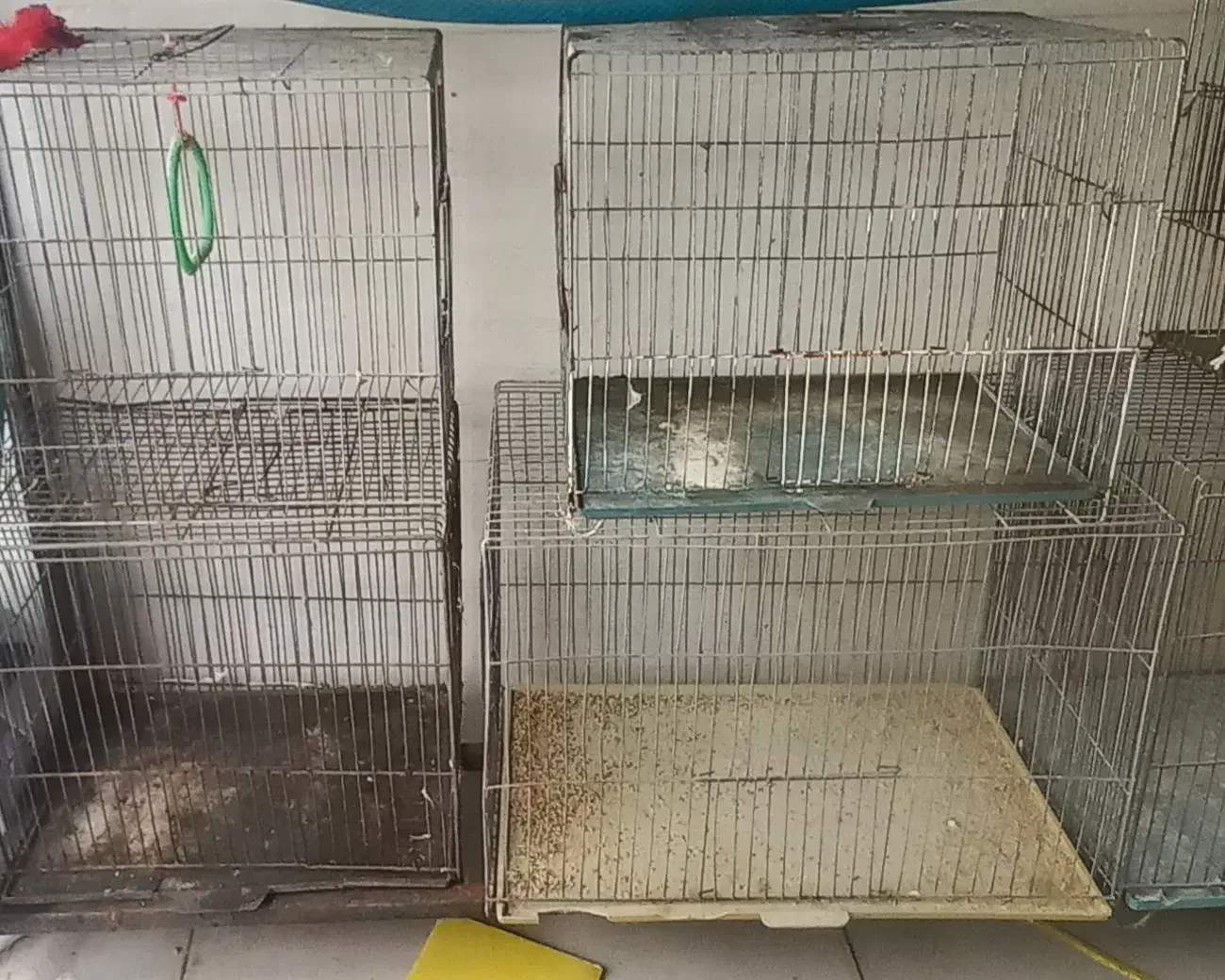 قفس نو و دست دو مناسب انواع پرنده سنجاب سگ مرغ|لوازم جانبی حیوانات|رشت, جهاد|دیوار