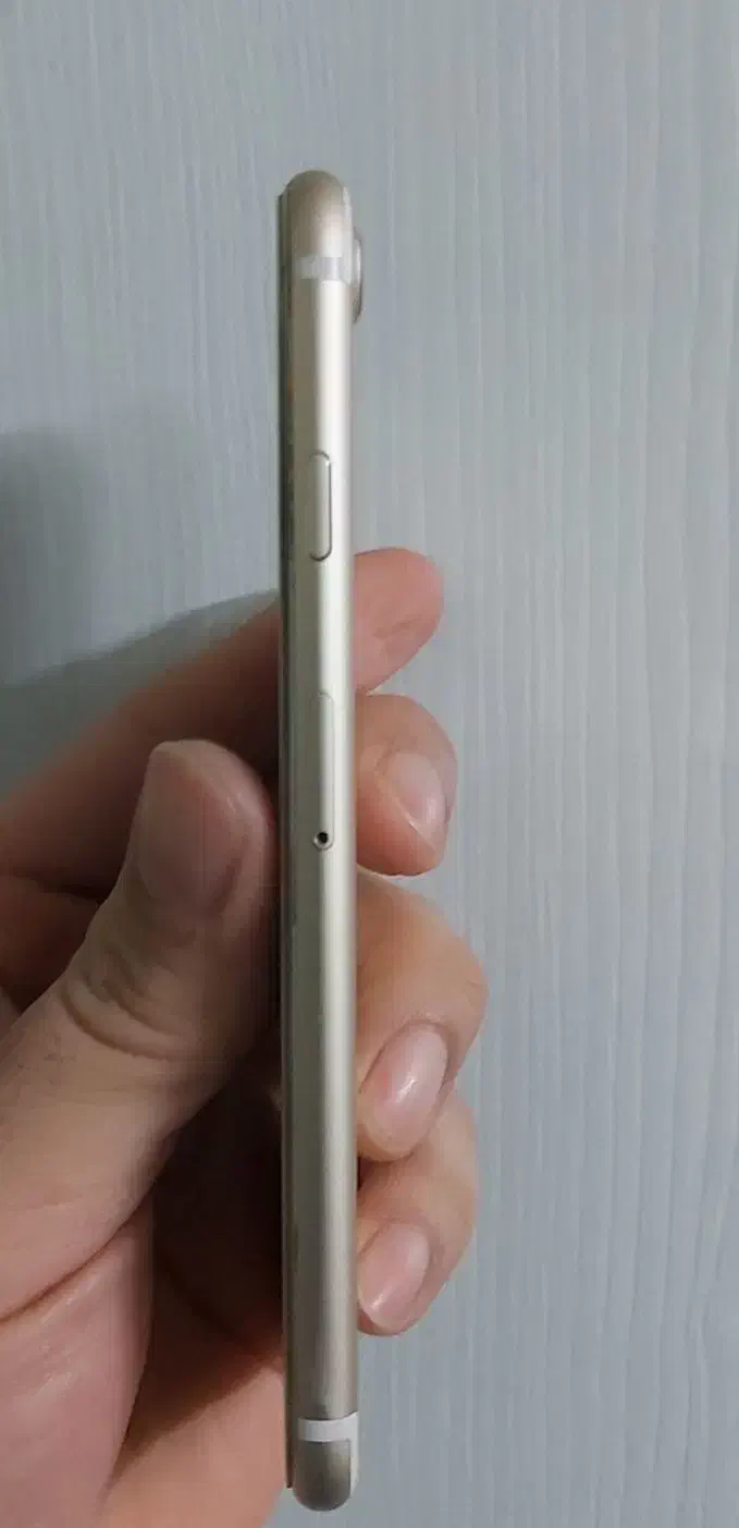 آیفون ۷|موبایل|مشهد, سعد آباد|دیوار