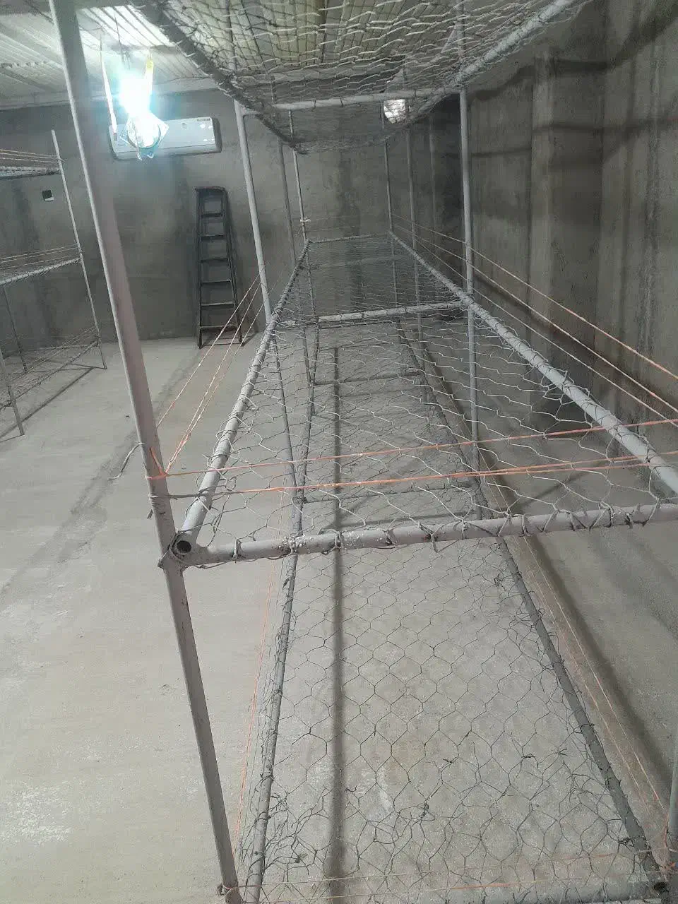 فروش قفسه قارچ در حد نو|فروشگاه و مغازه|شیرگاه, |دیوار