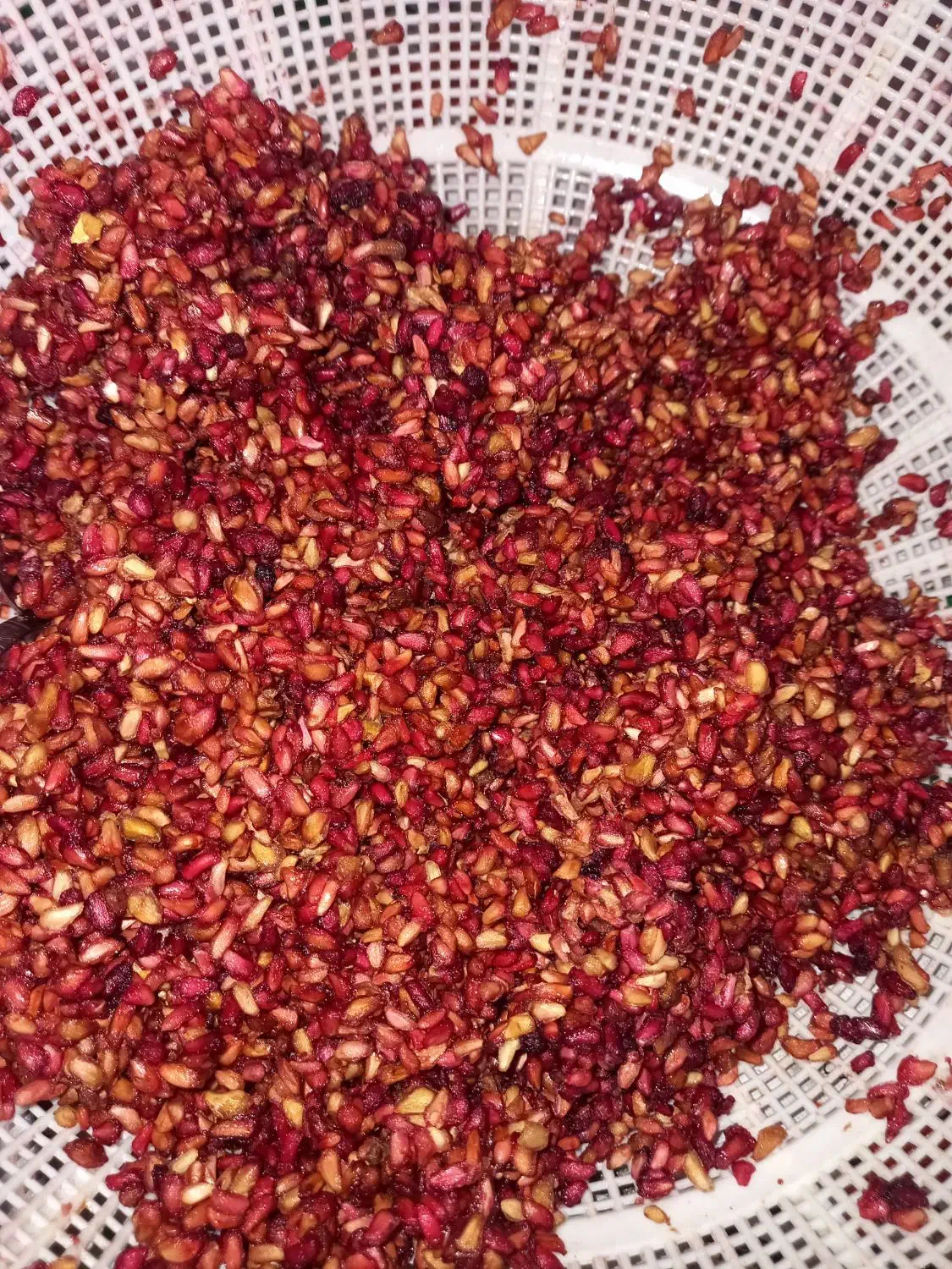 ناردونه ،رب انار|خوردنی و آشامیدنی|شیراز, گلشن|دیوار