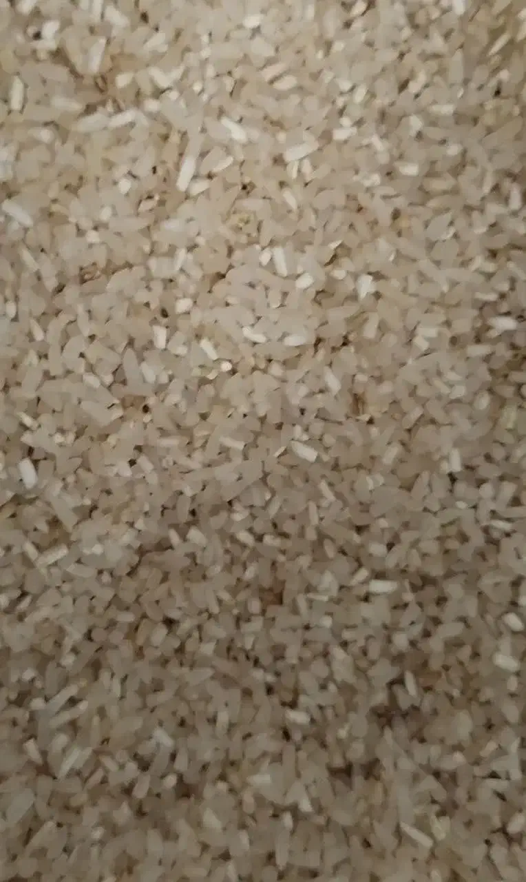 عرضه مستقیم برنج ایرانی سرگل|خوردنی و آشامیدنی|شاهرود, |دیوار