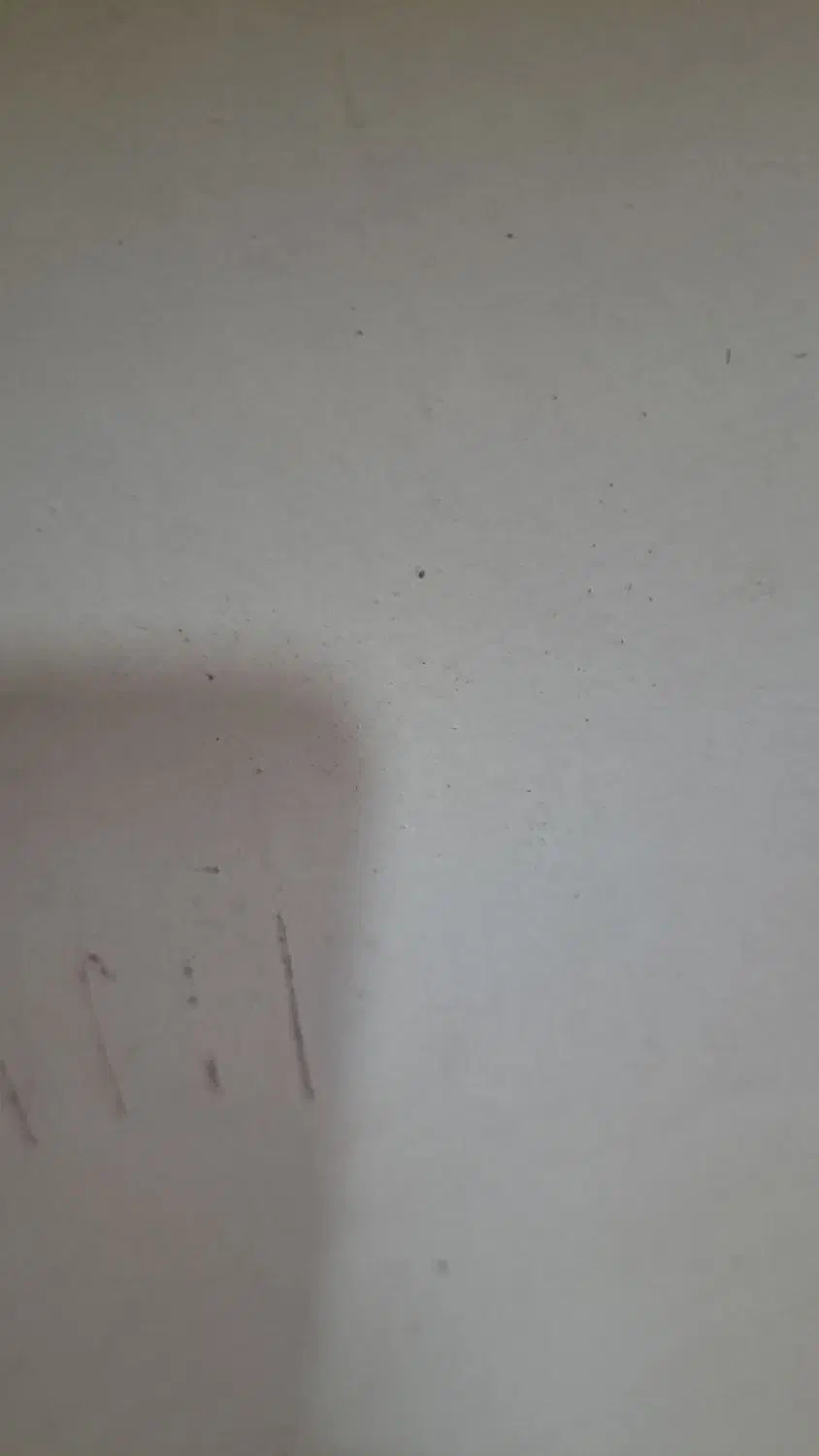 اجاره مغازه ۱۲۰متر درخیابان رجایی تازه ساز در۳طبقه|اجارهٔ مغازه و غرفه|تایباد, |دیوار
