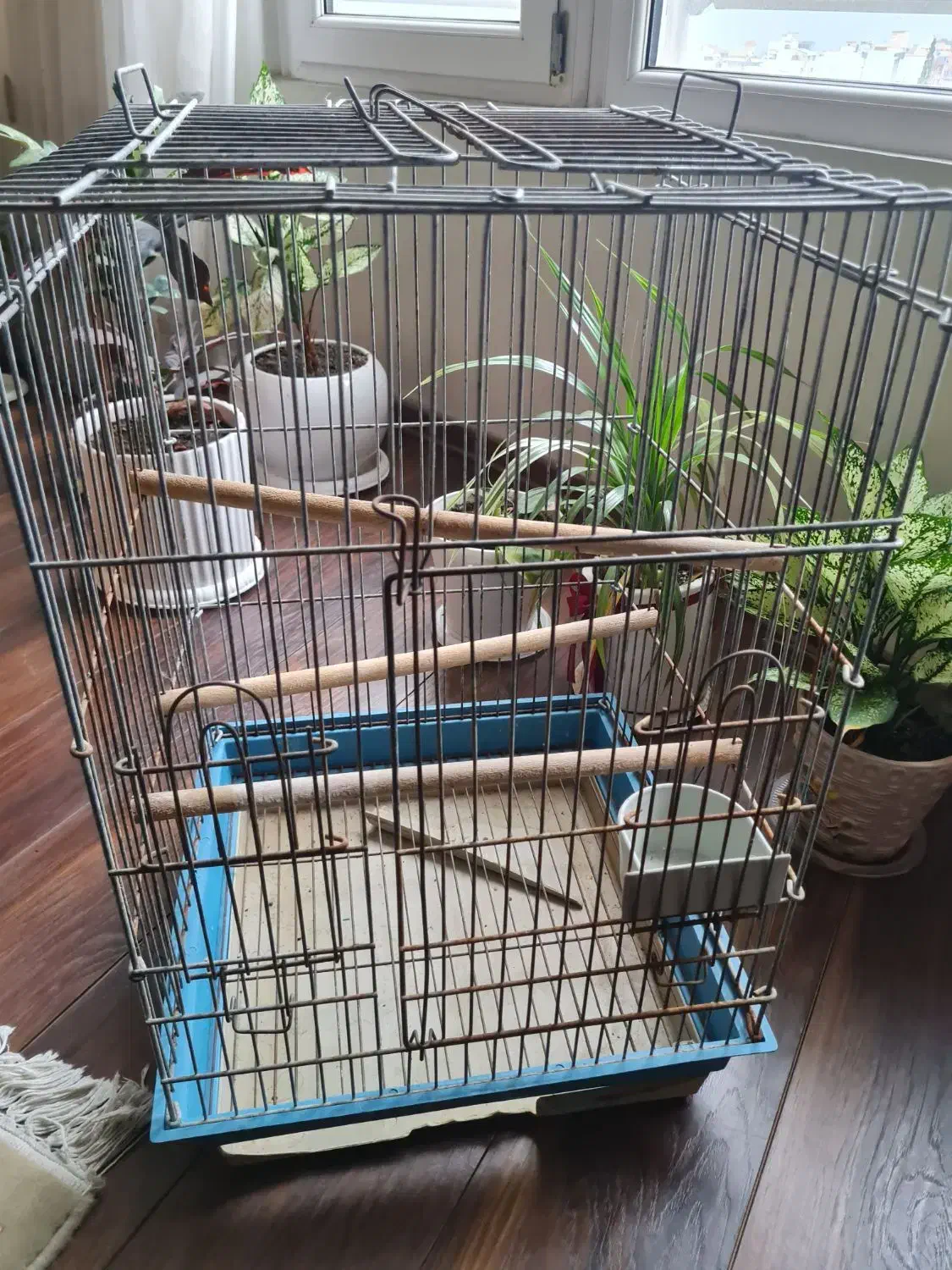 قفس پرنده سایز بزرگ|لوازم جانبی حیوانات|گرگان, |دیوار