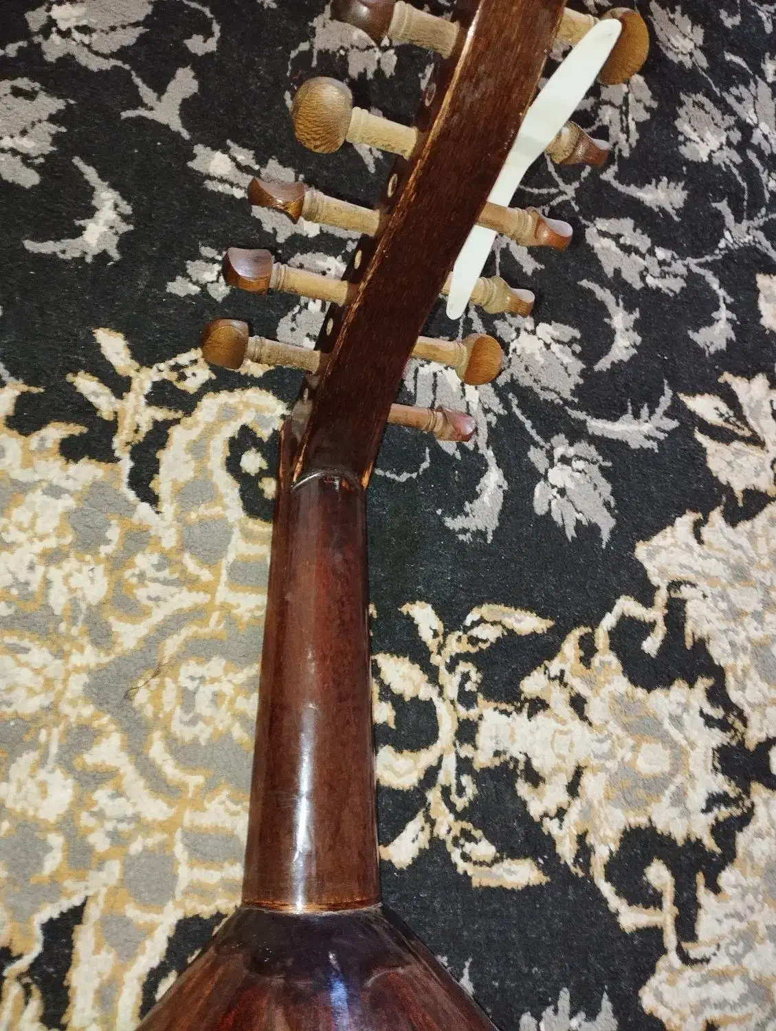 عودزریاب عراقی صفحه سدارپیکاپ اکولایز|سازهای سنتی|بندرعباس, |دیوار