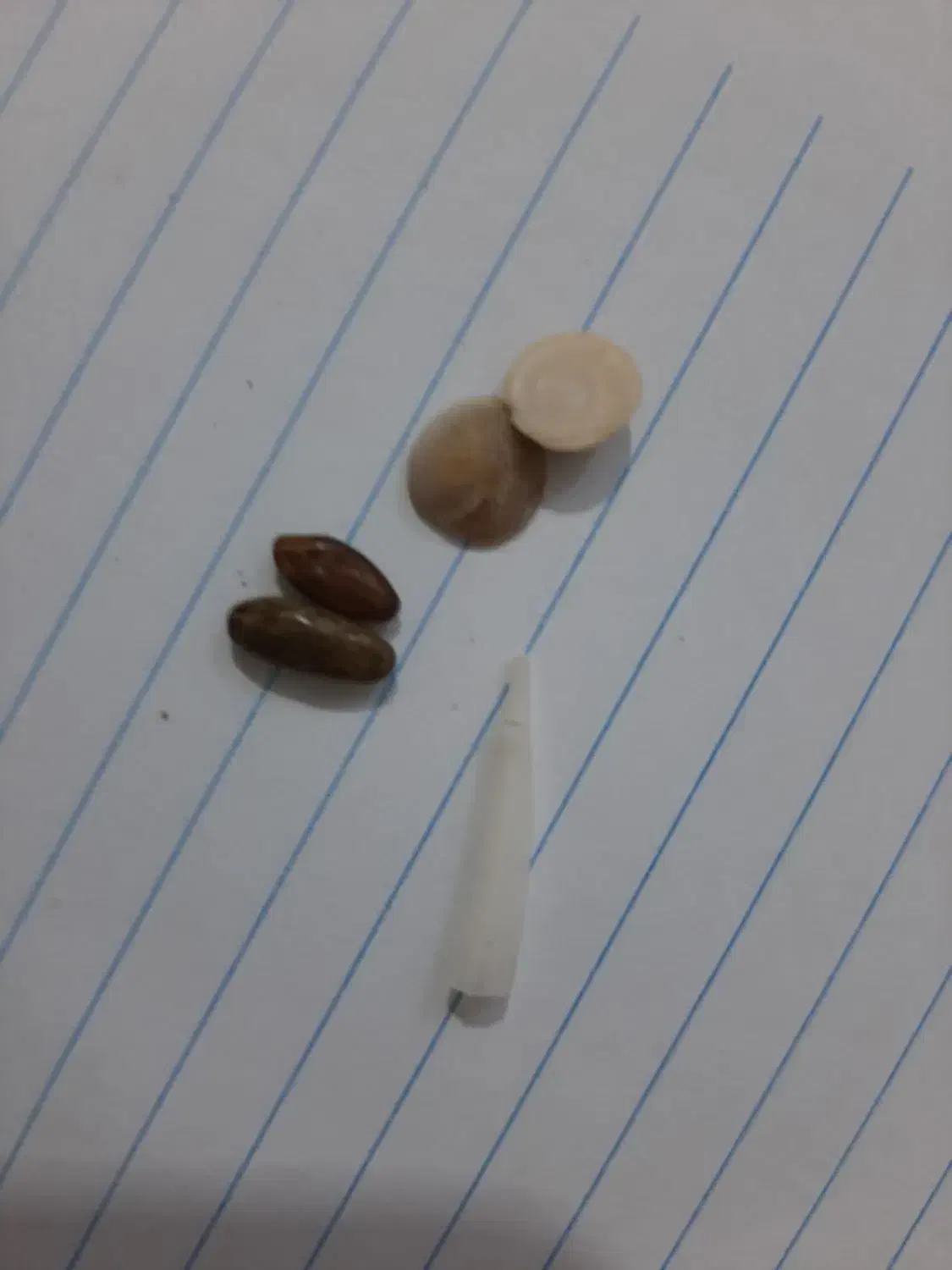 مهره اصلی|بدلیجات|مشهد, سجاد شهر|دیوار