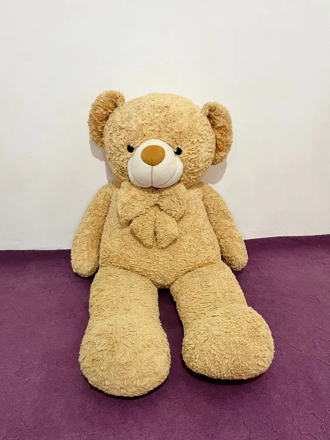 خرس بزرگ|اسباب‌‌بازی|زنجان, |دیوار