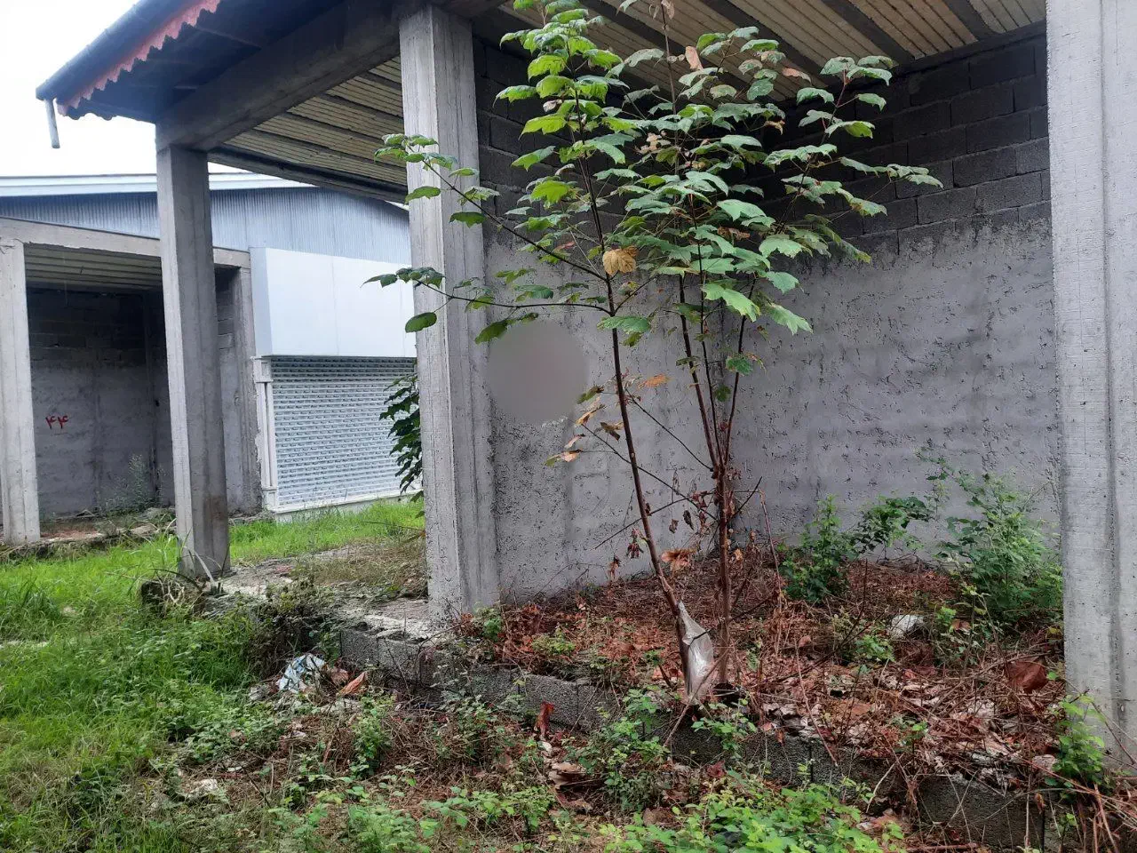 مغازه شمال استان گیلان|فروش مغازه و غرفه|کیاشهر, |دیوار