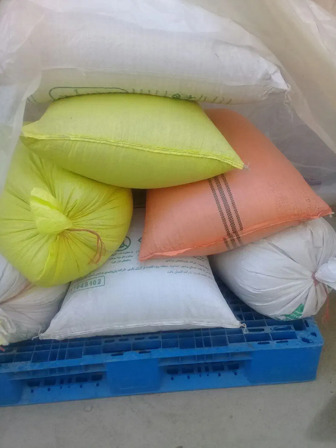 گندم آبی پیشگام مرغوب فروشی|عمده‌فروشی|قلقل رود, |دیوار