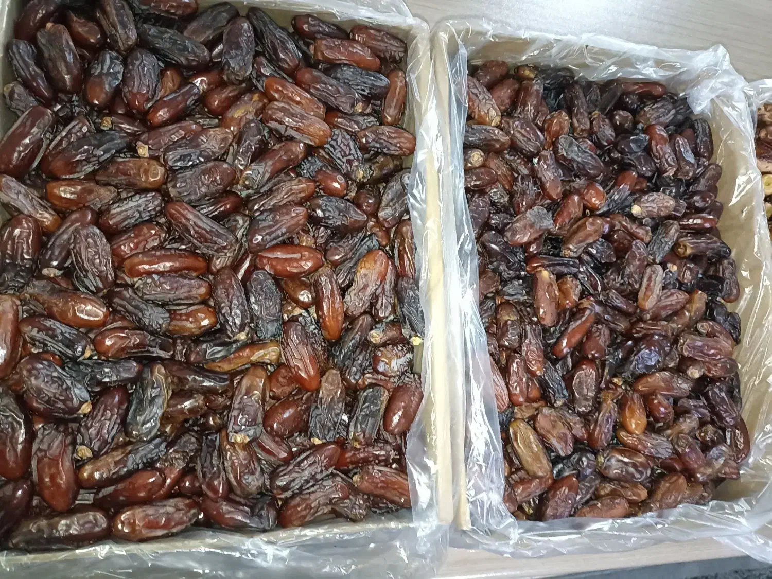 فروش خرما با تخفیف ‌، زیرقیمت بازار... خرمای ربی|عمده‌فروشی|فیروزکوه, |دیوار