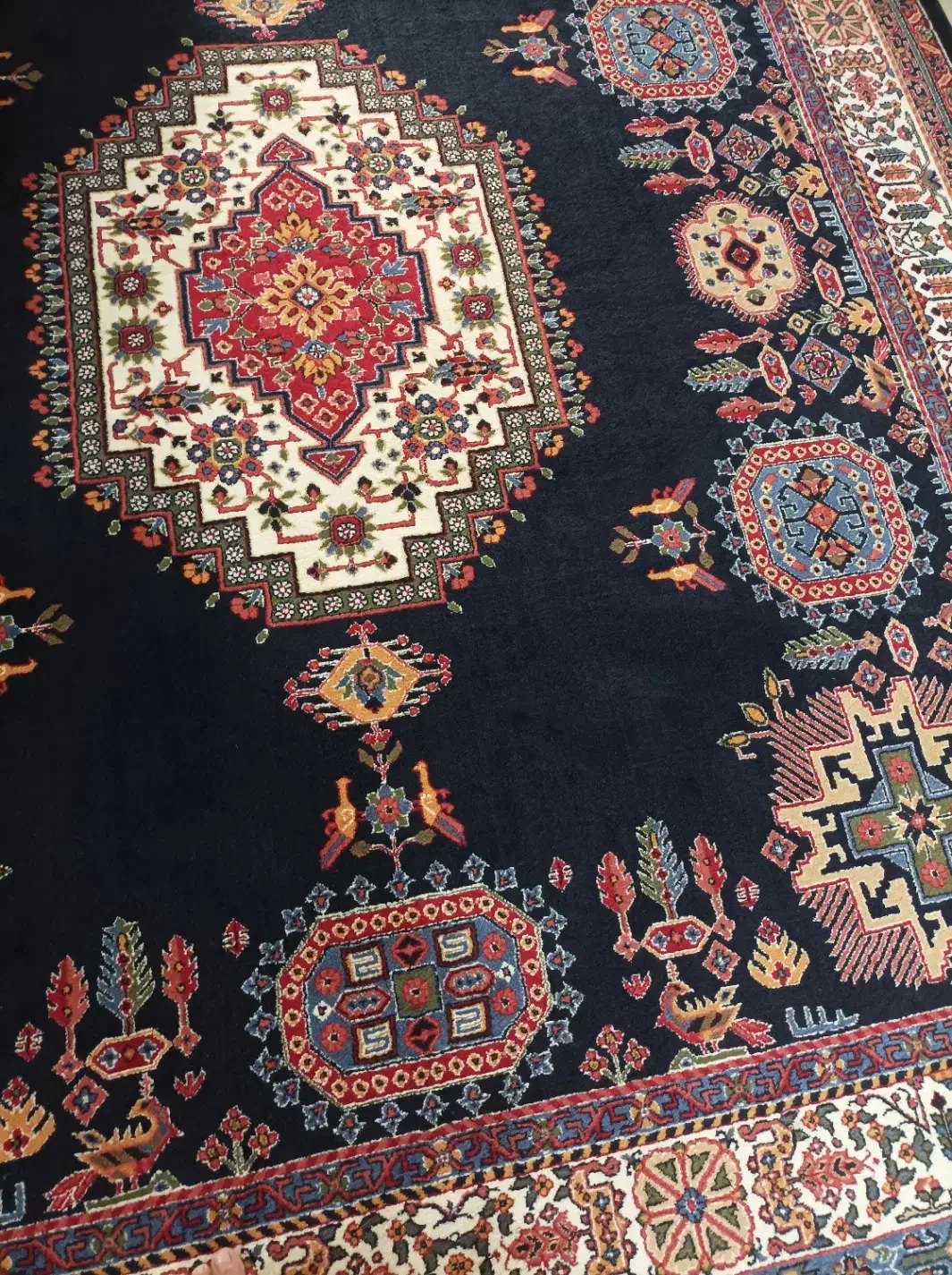 غذاساز|فرش|رودهن, |دیوار