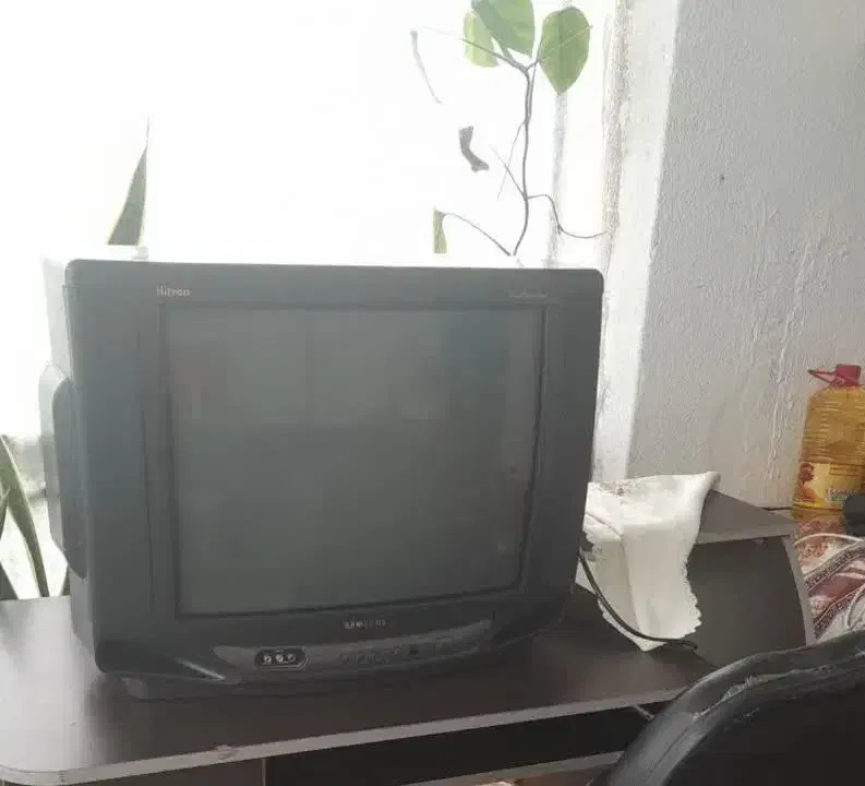 تلویزیون|تلویزیون و پروژکتور|بابلسر, |دیوار