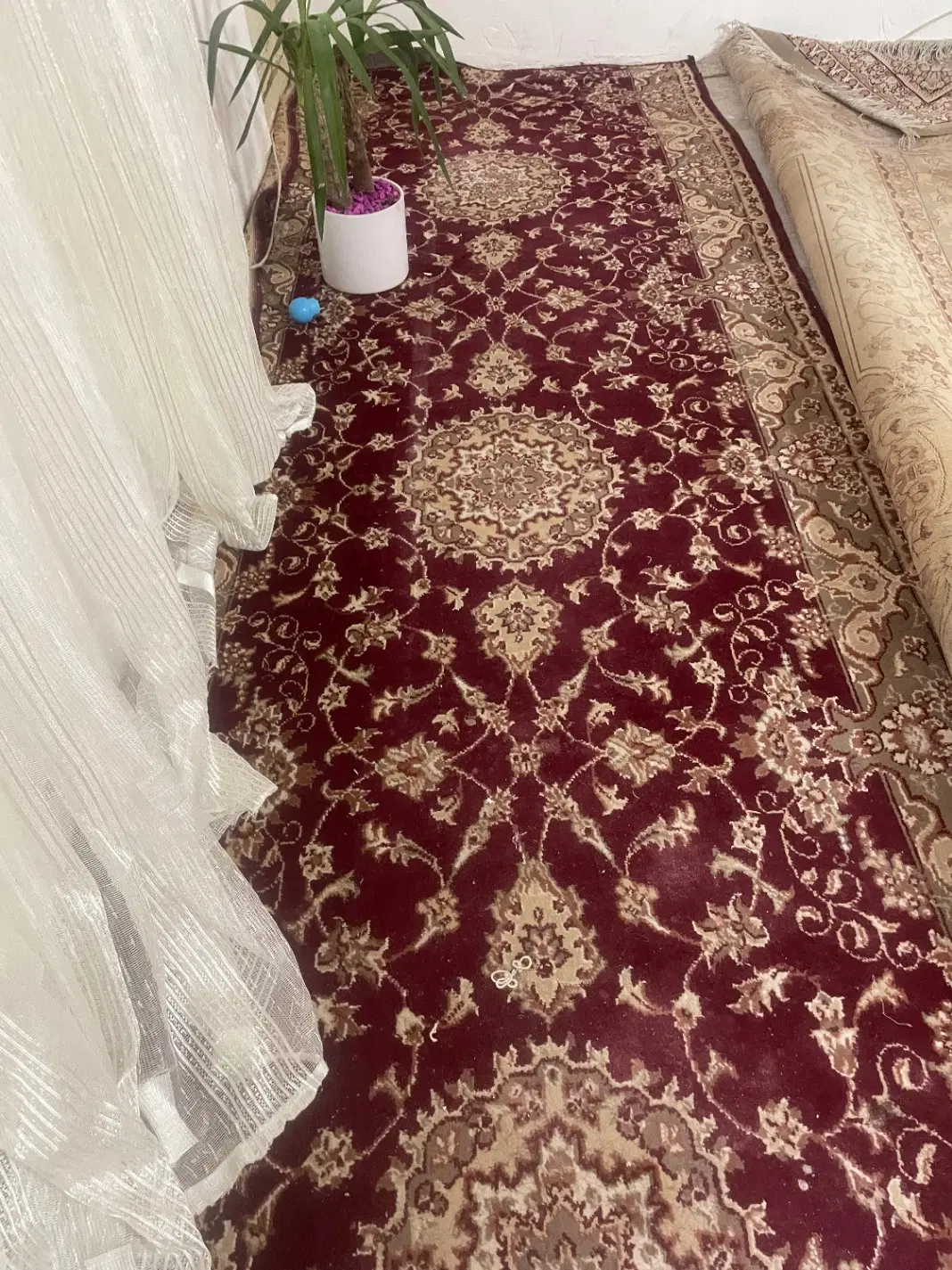 قالیچه|فرش|مشهد, چهاربرج|دیوار