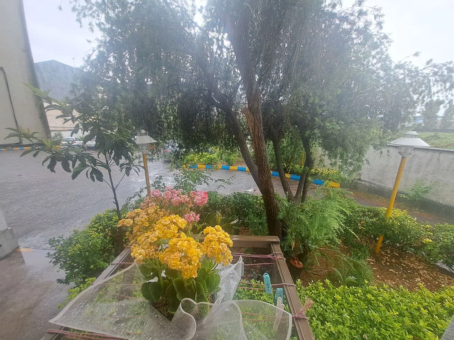 رهن آپارتمان 2خواب پکیجدار شیک/خ معلم/نزدیک دریا|اجارهٔ آپارتمان|بندر انزلی, معلم|دیوار