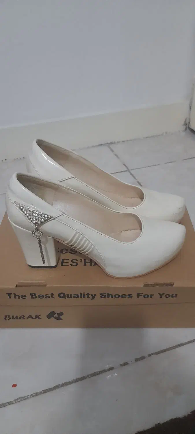 کفش مجلسی|کیف، کفش، کمربند|شهریار, شهریار|دیوار