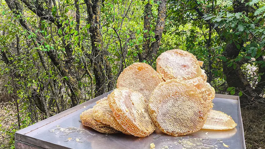عسل کاملا طبیعی باموم خودبافت سبد و چنبره (دارویی)|خوردنی و آشامیدنی|تهران, سعادتآباد|دیوار