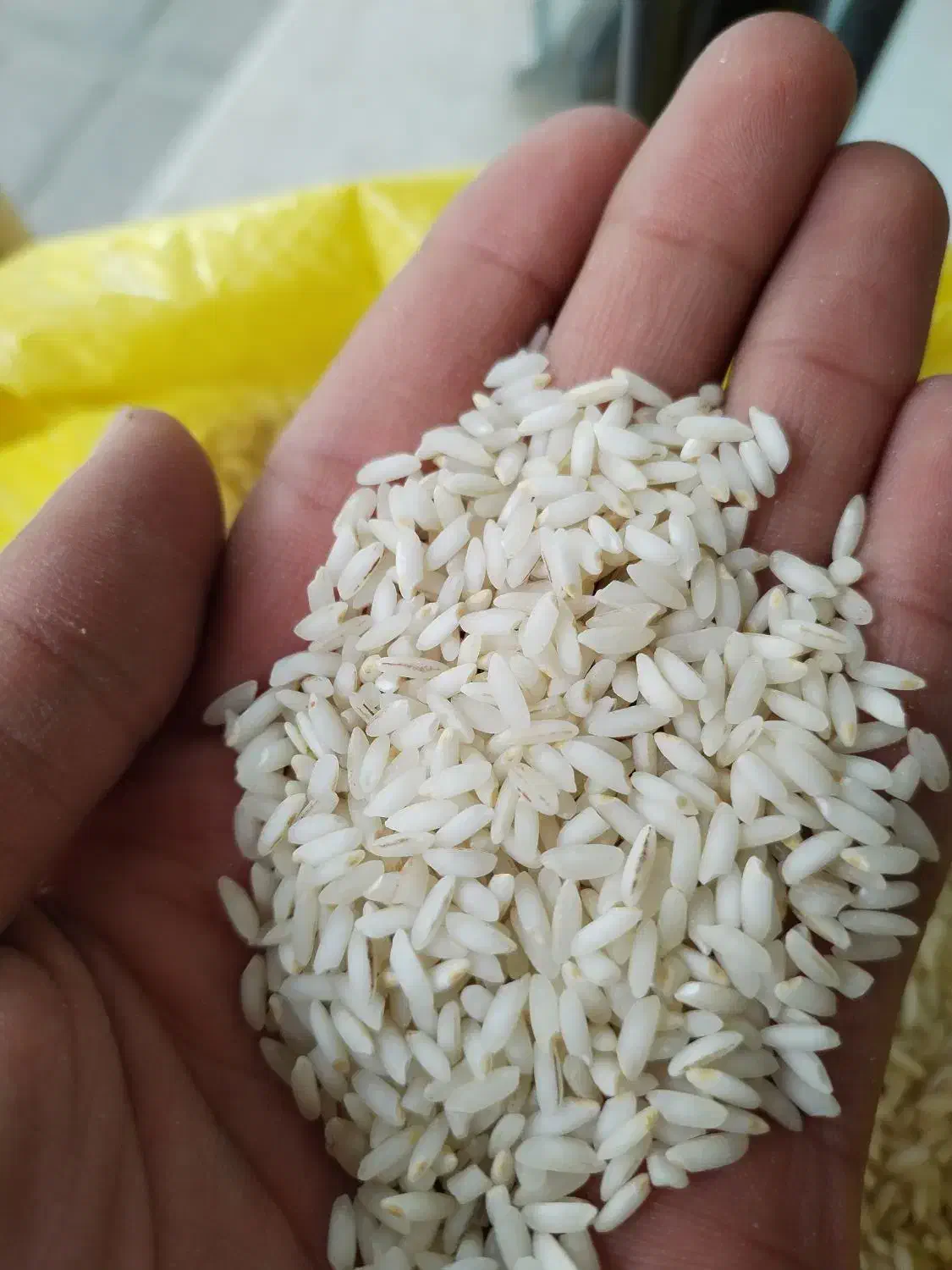 عنبربو شوشتر خالص|خوردنی و آشامیدنی|اصفهان, شهرک کاوه|دیوار