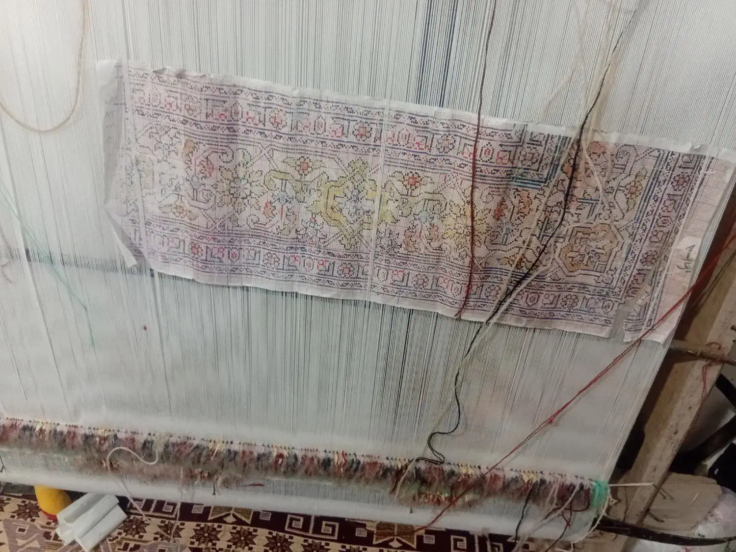 قالی زرنیم|فرش|کشکسرای, |دیوار