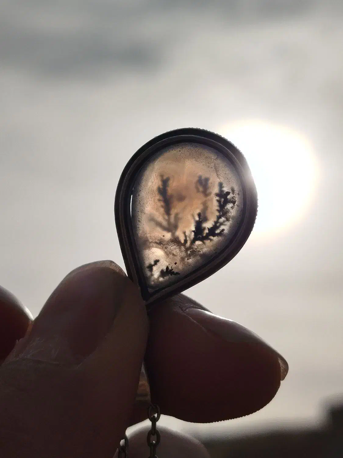 پلاک شجر اصلی|جواهرات|میبد, |دیوار