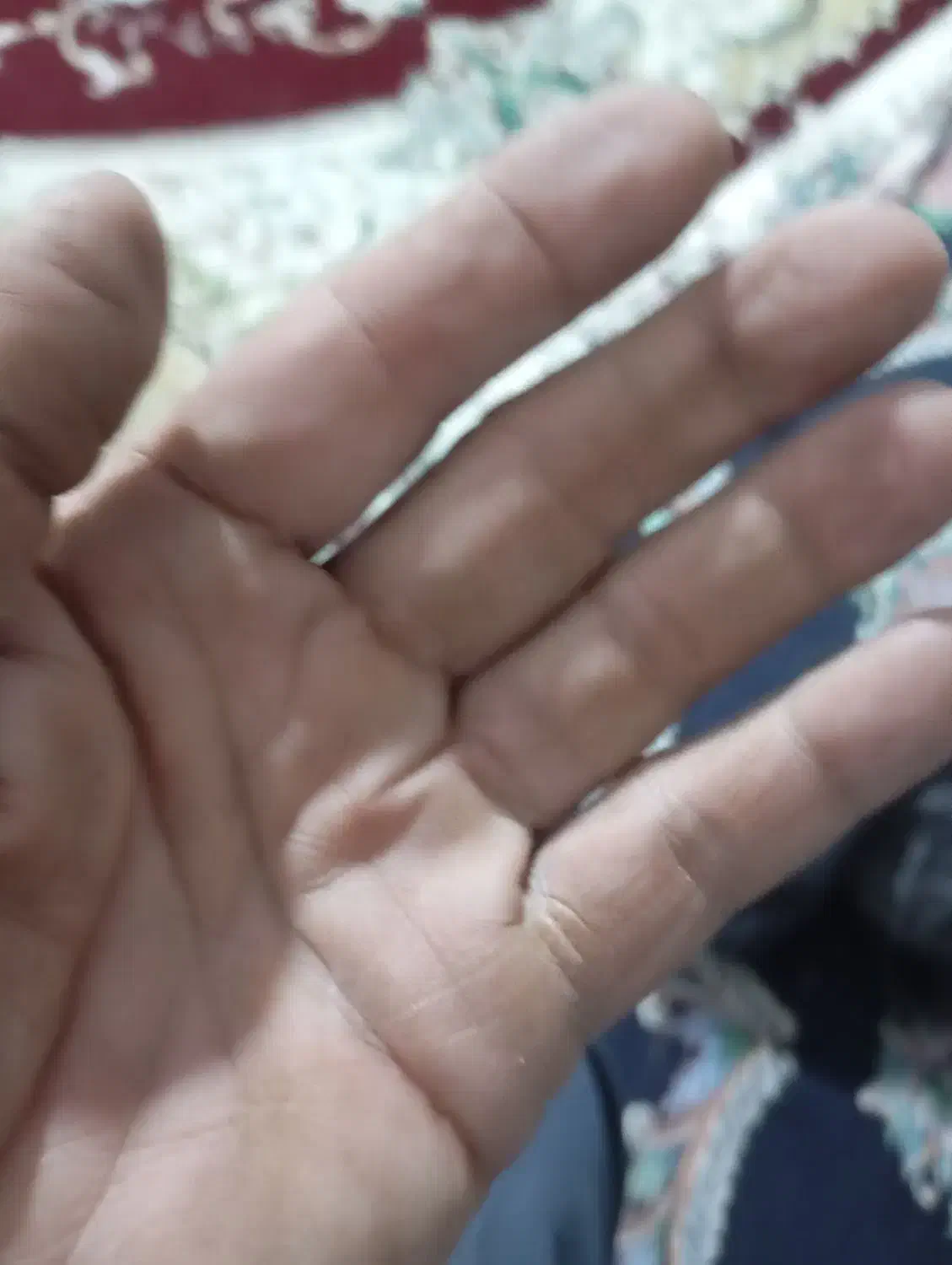 گم شدن کیف ابرار برقی|اشیا|سیرجان, |دیوار