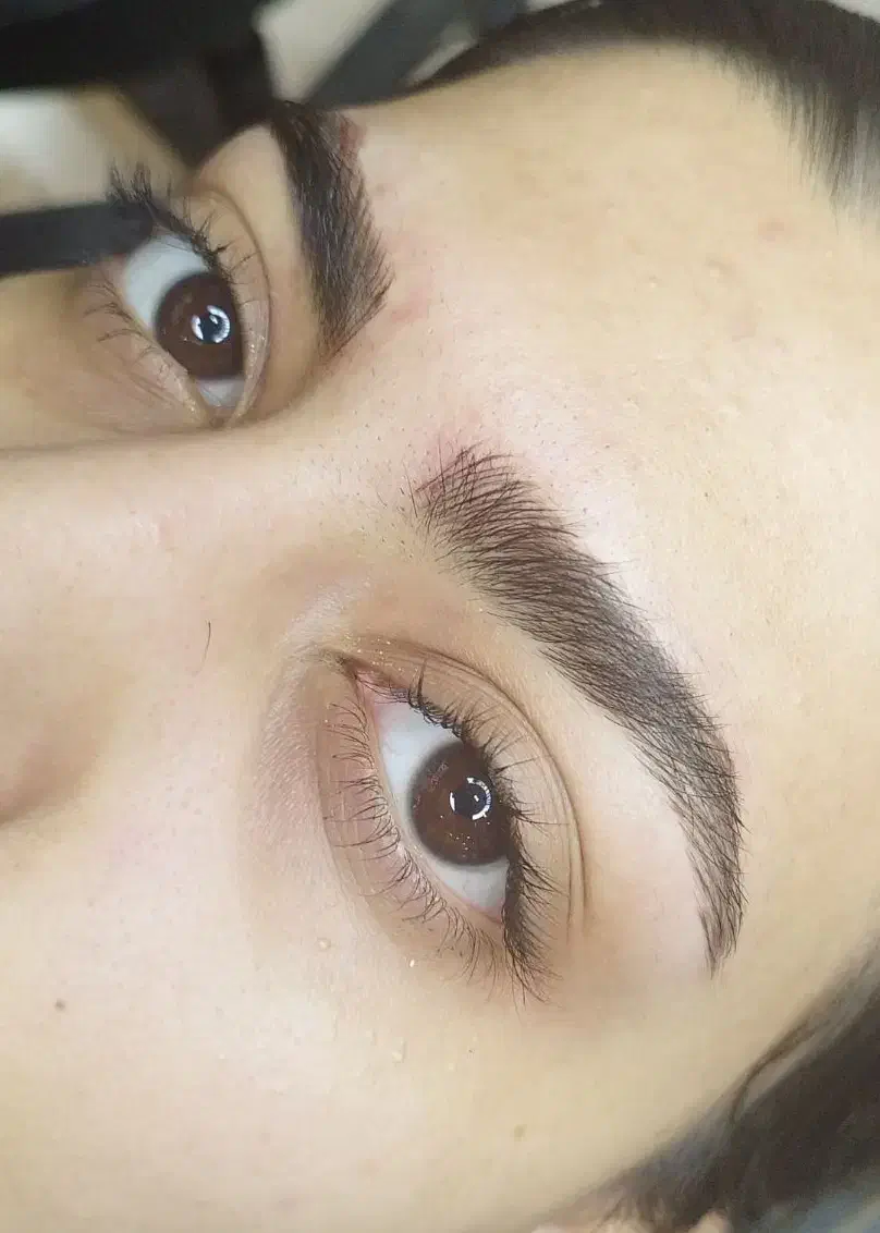 میکرو ابرو و شید لب|خدمات آرایشگری و زیبایی|مشهد, دانشجو|دیوار