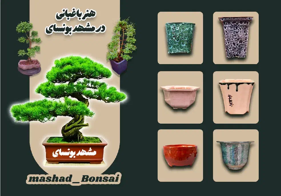 گلدان دستساز بونسای|صنایع دستی و سایر لوازم تزئینی|مشهد, میعاد (شهرک غرب)|دیوار