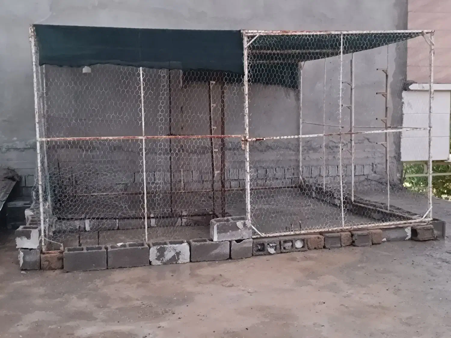 قفس|لوازم جانبی حیوانات|برازجان, |دیوار