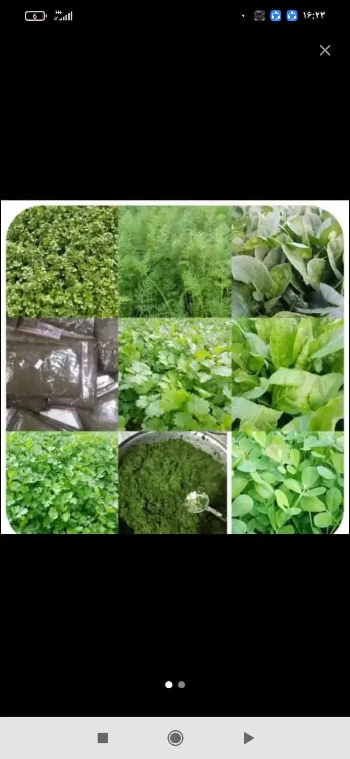 سبزی وبرنج چمپا موجوده|خوردنی و آشامیدنی|رامهرمز, |دیوار