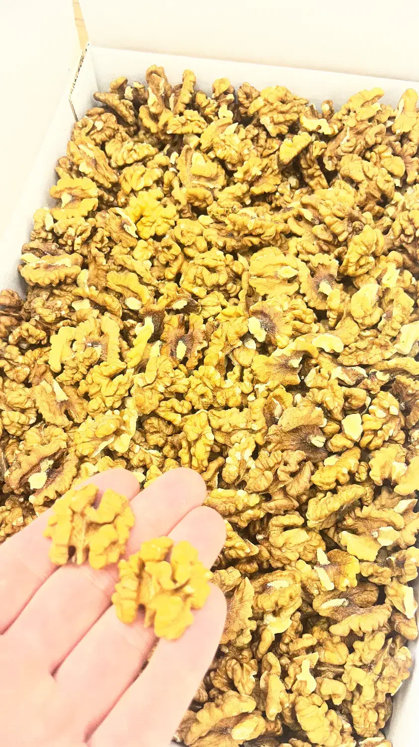 فروش ویژه مغزیجات و محصولات طبیعی|خوردنی و آشامیدنی|اصفهان, جلفا|دیوار