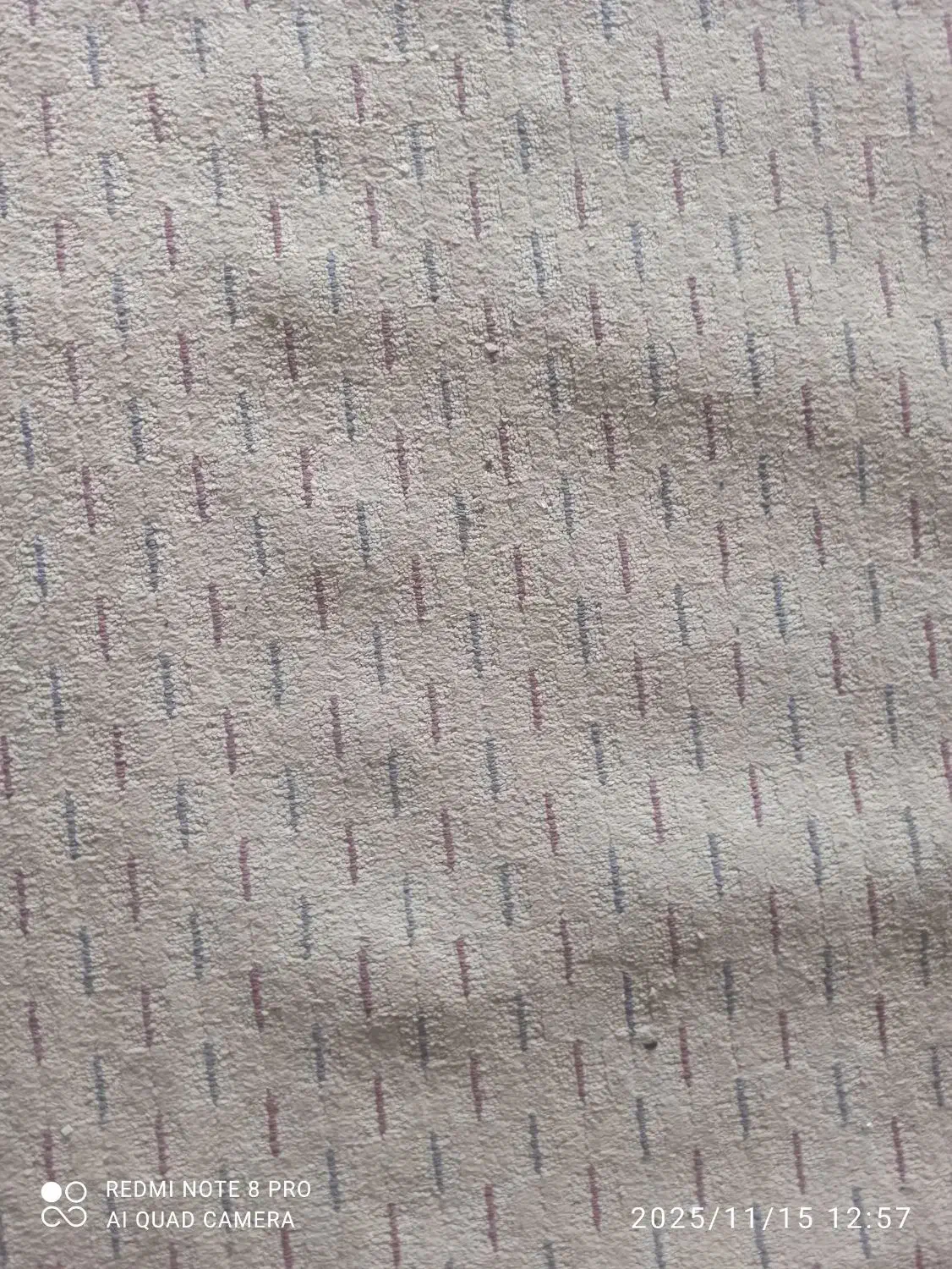 موکت|موکت|بجنورد, |دیوار