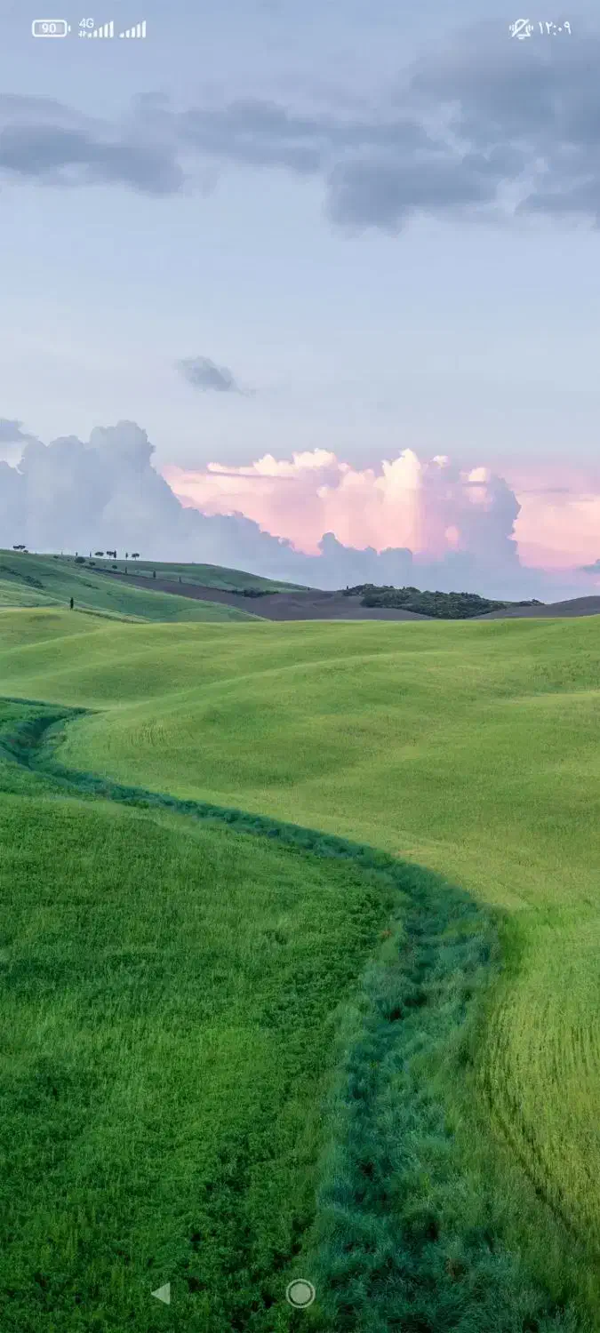 علف وکاه موجود است|عمدهفروشی|صومای برادوست, |دیوار