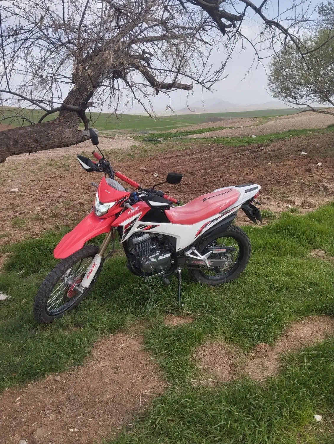 موتور فلات 200CC|موتورسیکلت|نورآباد, |دیوار