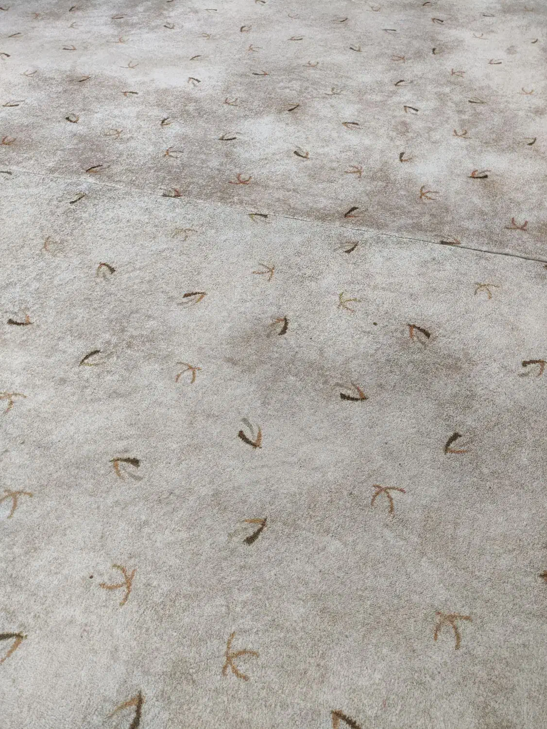 موکت ظریف  مدل هراز|موکت|دهلران, |دیوار