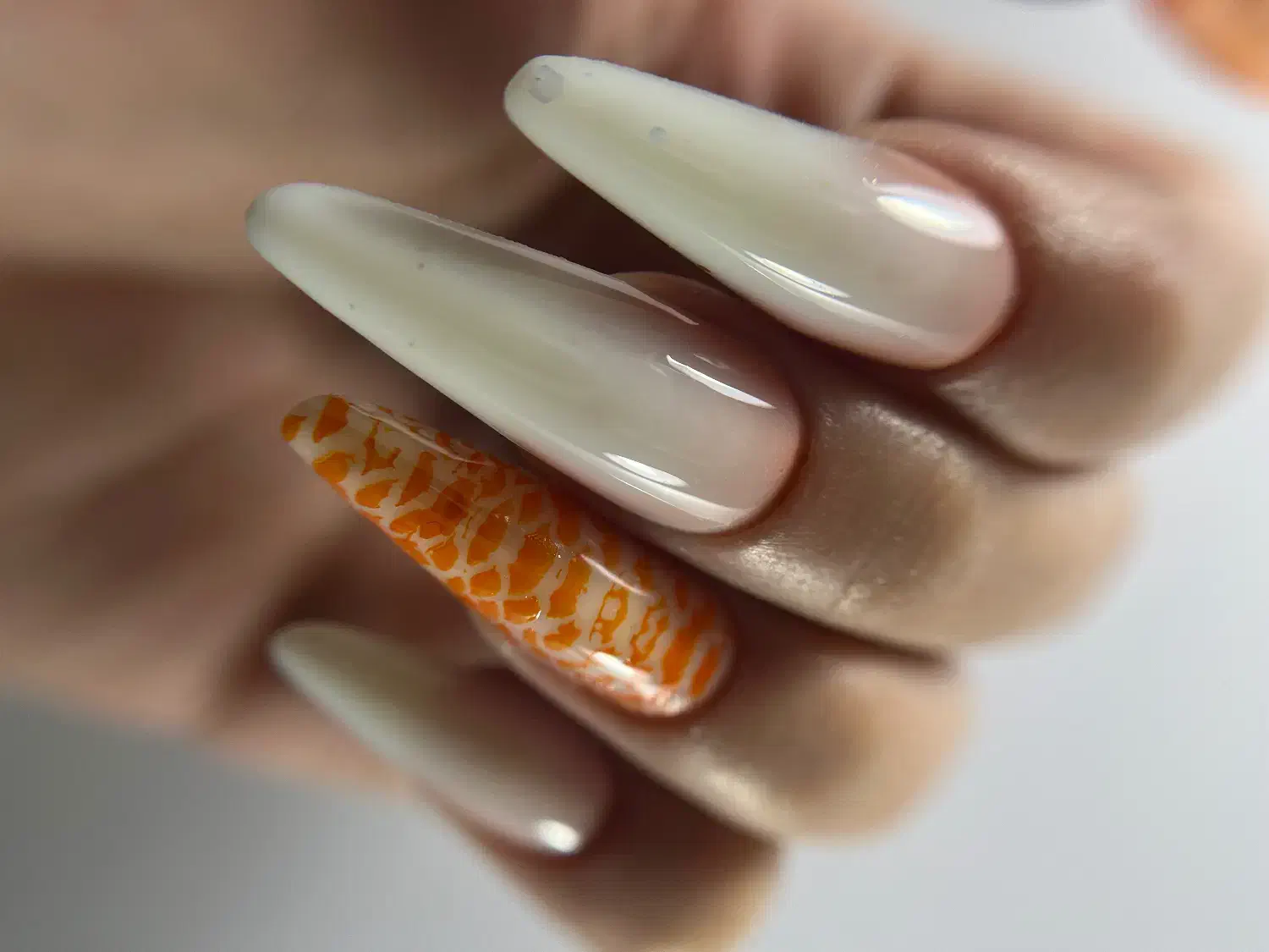 ناخن|خدمات آرایشگری و زیبایی|بجنورد, |دیوار