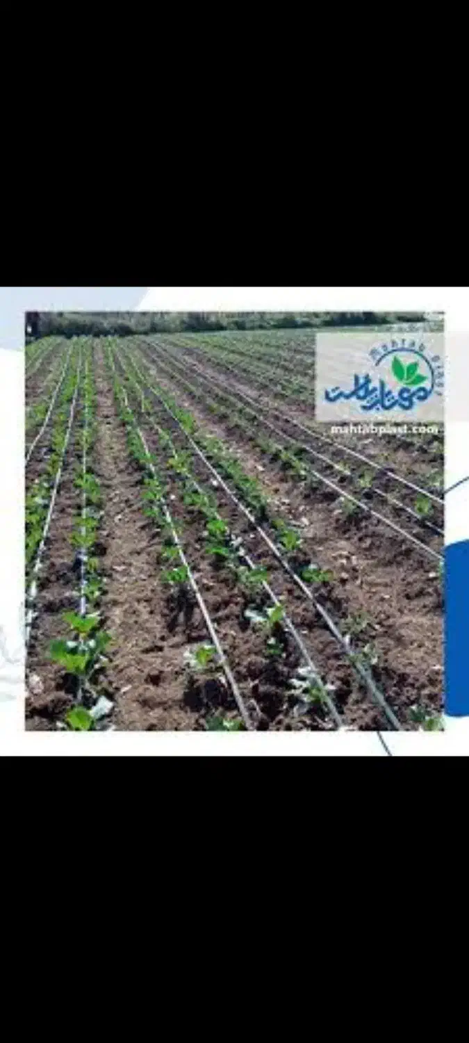 نواری تیپ ضایعات سر زمین|فعالیت داوطلبانه|زرین دشت (فارس), |دیوار