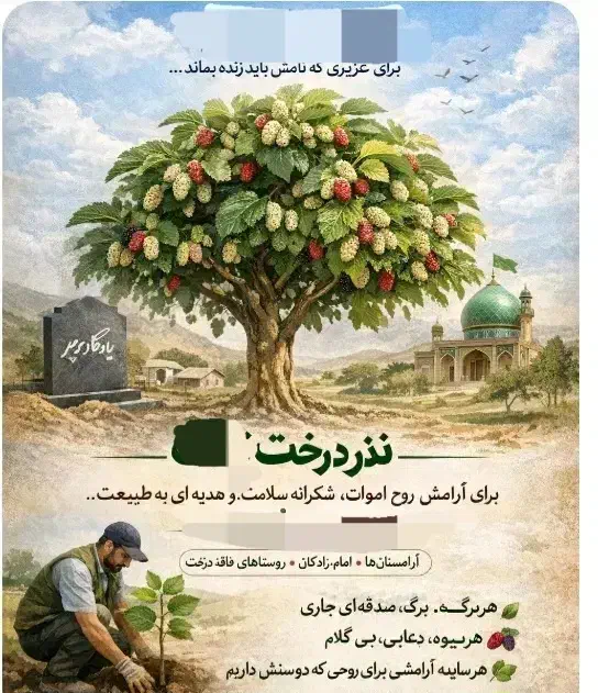 نذر درخت کاشت نهال در آرامستان ها روستا امام زاده|گل و گیاه طبیعی|کهریزک, |دیوار