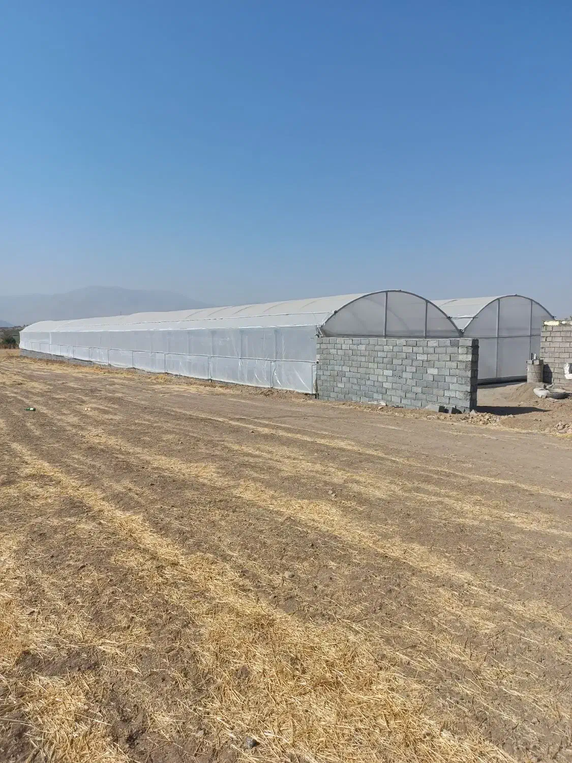 فروش یک واحد گلخانه نیمه صنعتی|فروش زمین و ملک کلنگی|دورود, |دیوار