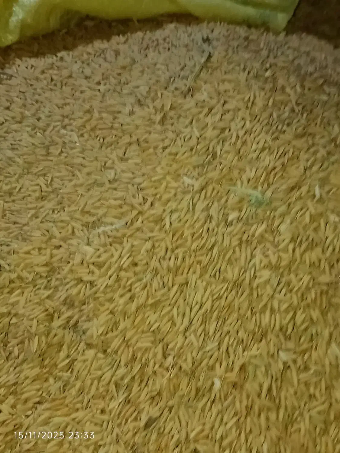 چلتوک|حراج|شیروان (لرستان), |دیوار