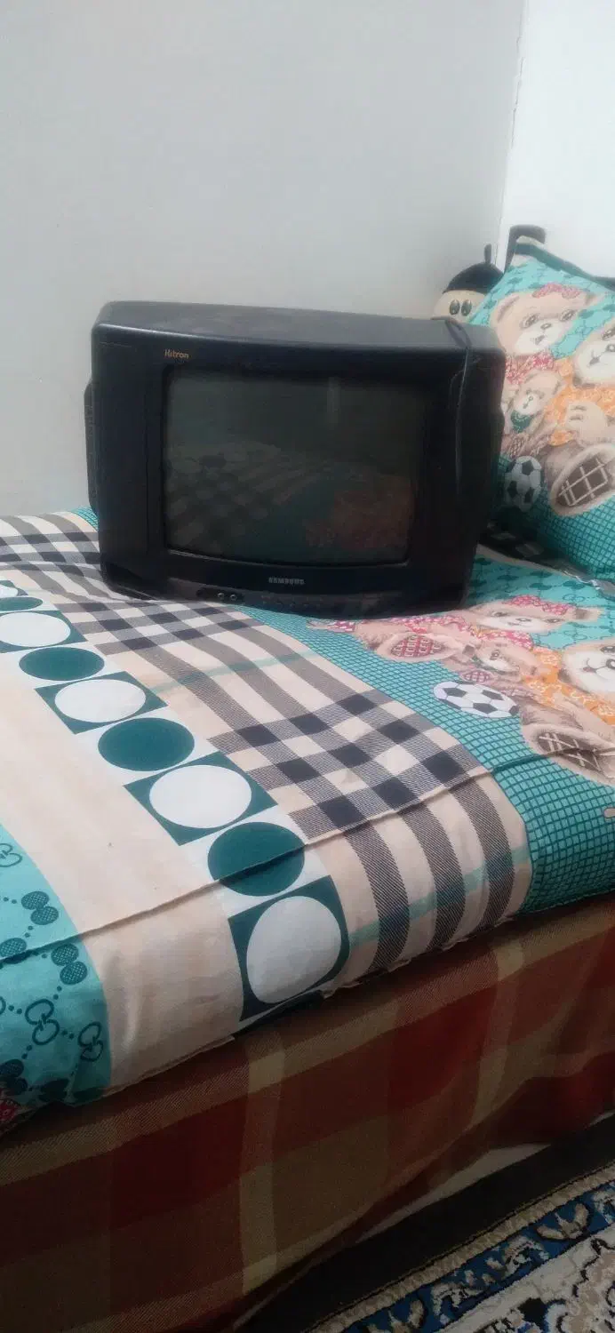 تلویزیون|تلویزیون و پروژکتور|نیشابور, ریوند|دیوار