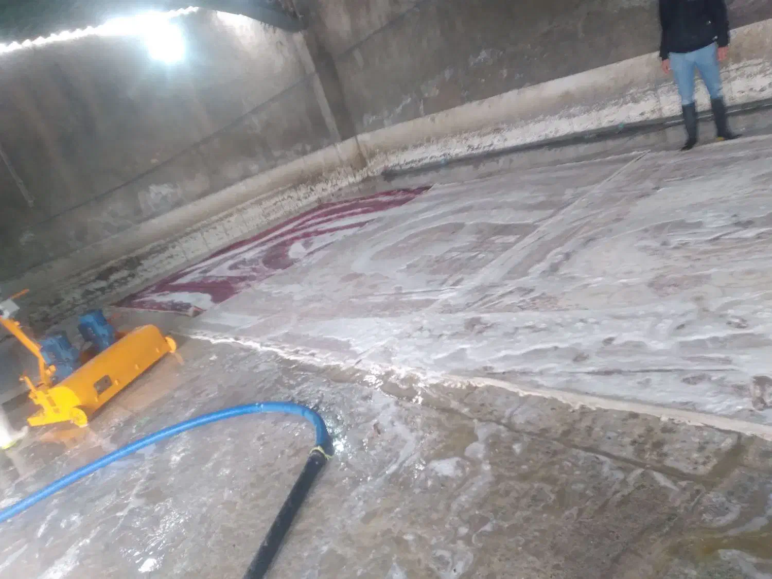 قالیشویی و مبلشویی طوس|خدمات نظافت|بجنورد, |دیوار