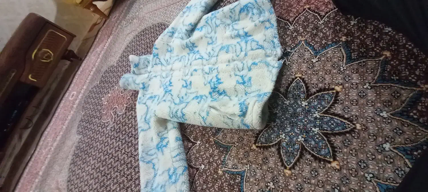 کاپشن تدی|لباس|اردبیل, |دیوار