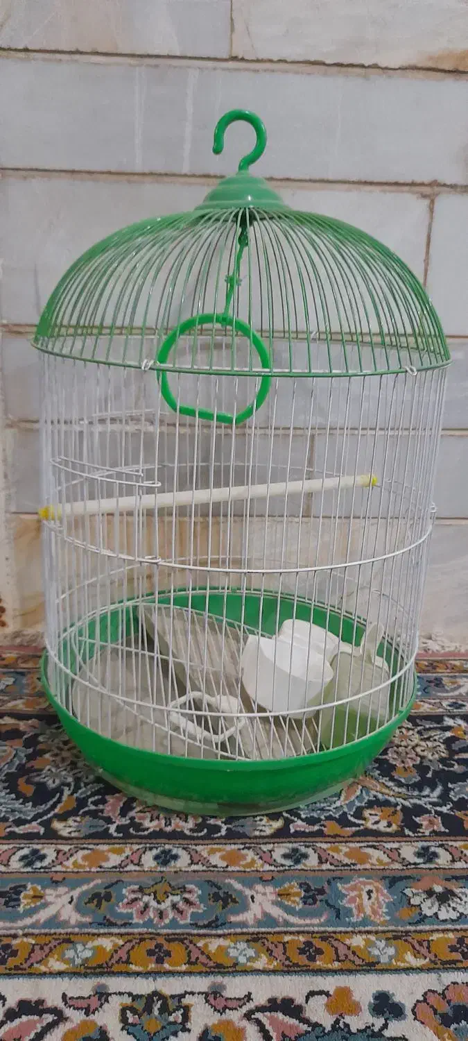 قفس پرنده|لوازم جانبی حیوانات|میبد, |دیوار