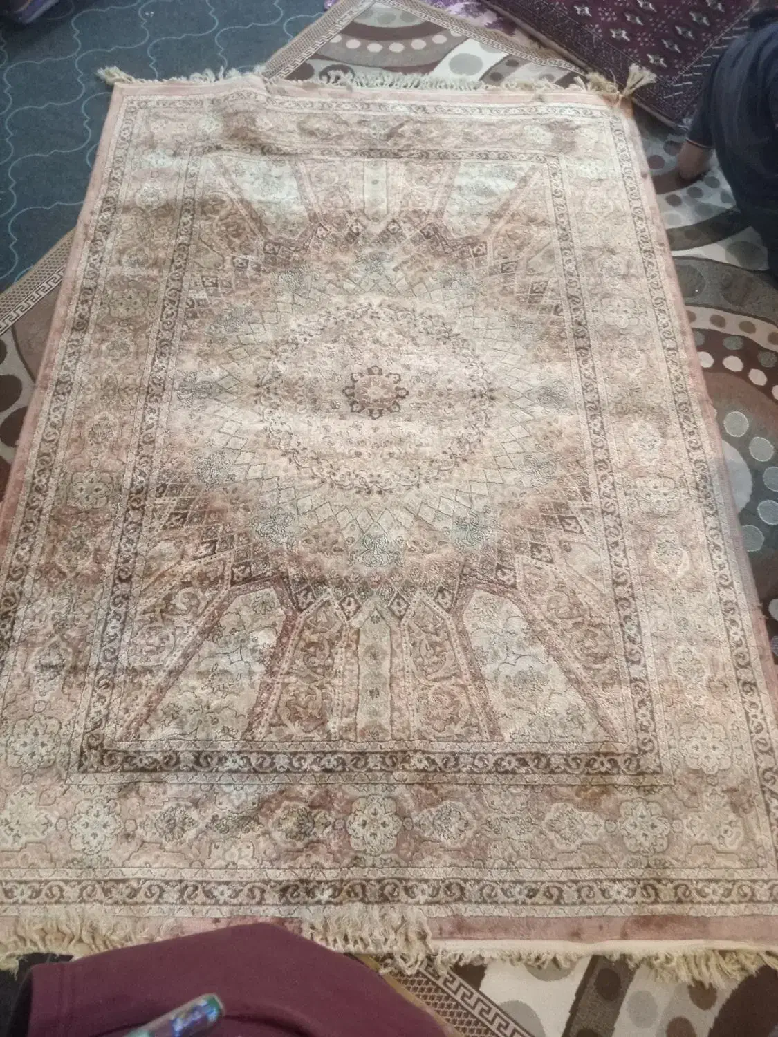 فرش دستبافت ابریشم ۷۰ساله به بالا|فرش|سرخرود, |دیوار