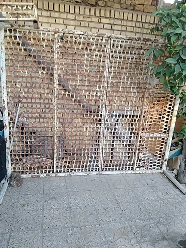 فروش تخت فلزی محکم|تخت و سرویس خواب|دهدشت, |دیوار