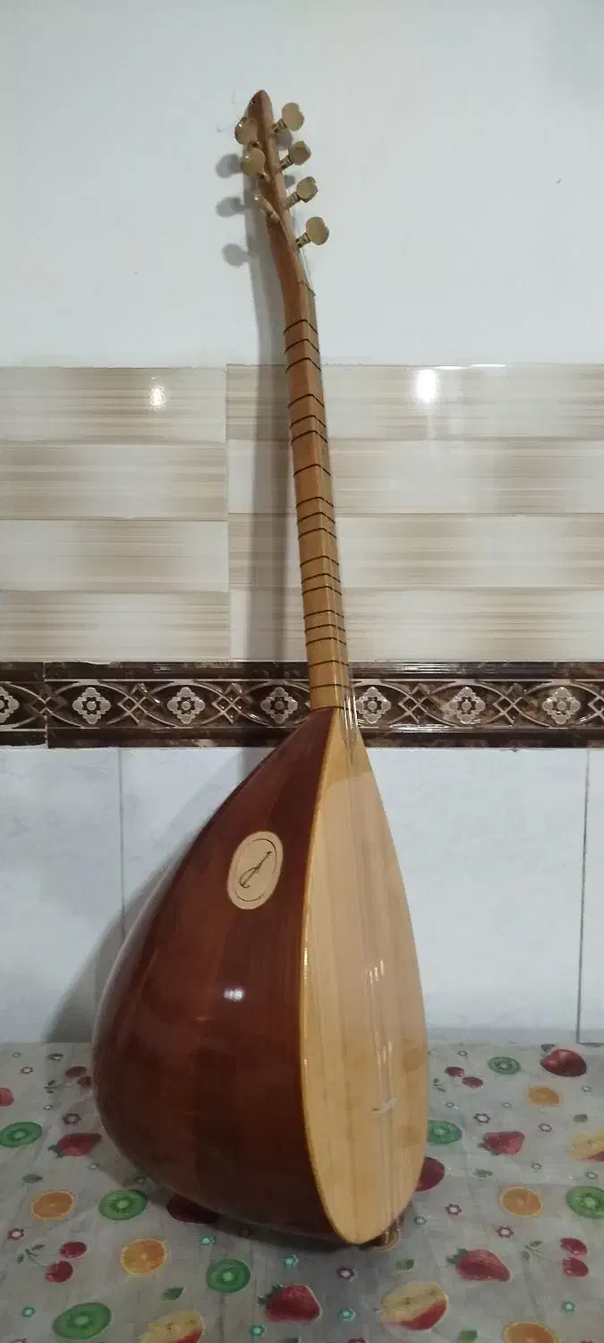 ساز باغلاما|سازهای سنتی|سلماس, |دیوار