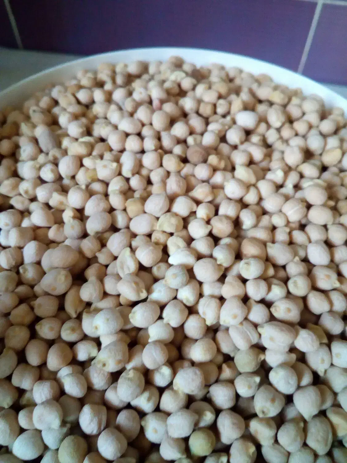 فروش نخود محلی|خوردنی و آشامیدنی|کامفیروز, |دیوار