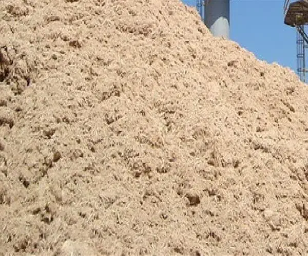 توفاله نیشکر|حیوانات مزرعه|کوهدشت, |دیوار