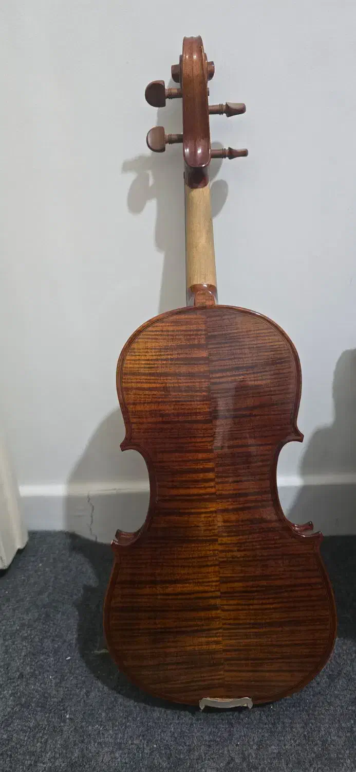 ویالون|ویولن|شیراز, فرهنگ شهر|دیوار