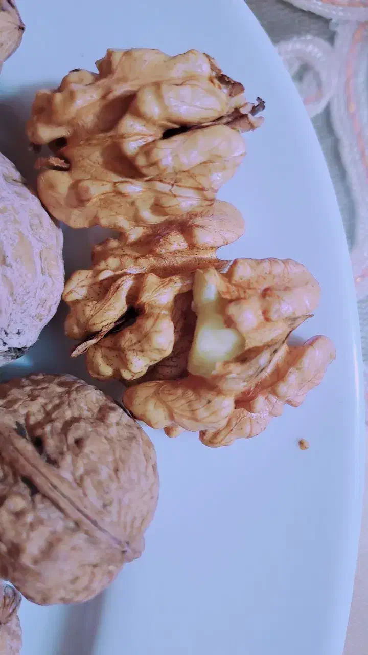 گردو|خوردنی و آشامیدنی|چناران, |دیوار