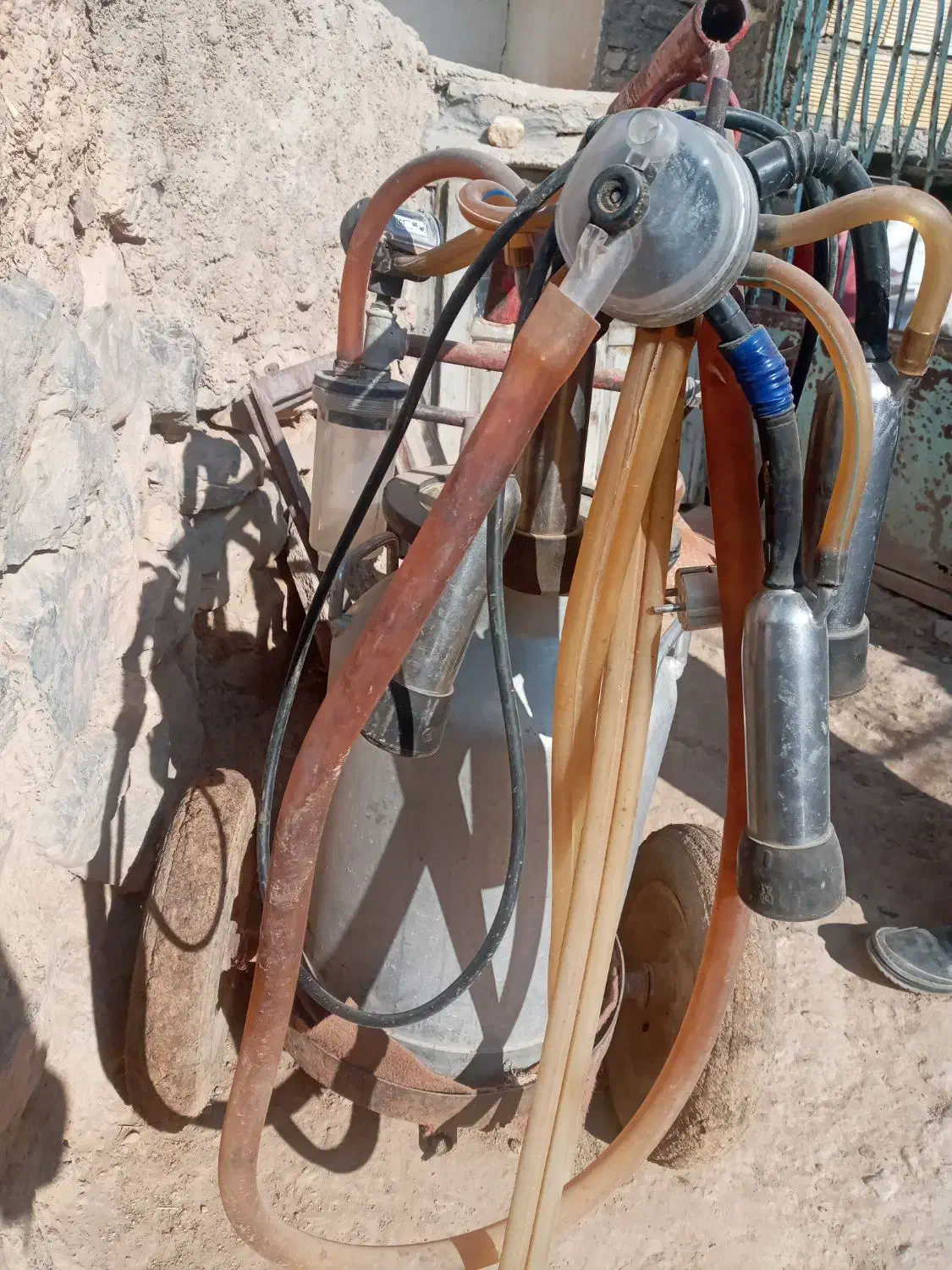 شبروش گاو|ماشینآلات صنعتی|داران, |دیوار