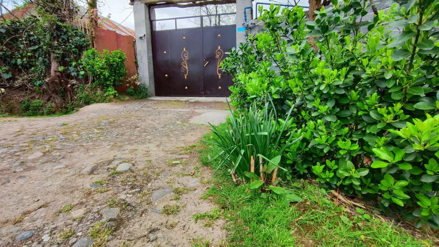 خانه ویلایی|فروش خانه و ویلا|سنگر, |دیوار